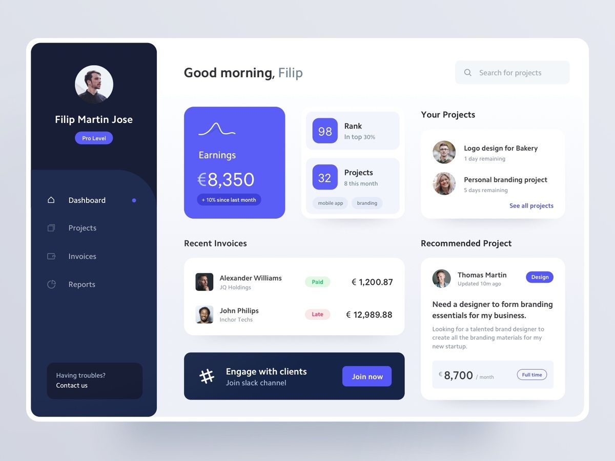 Sani Effect AI Diagnostic and SOW Builder Platform